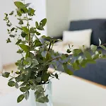 Parking Free Confort Flat In *